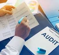 Audit et contrôle de gestion